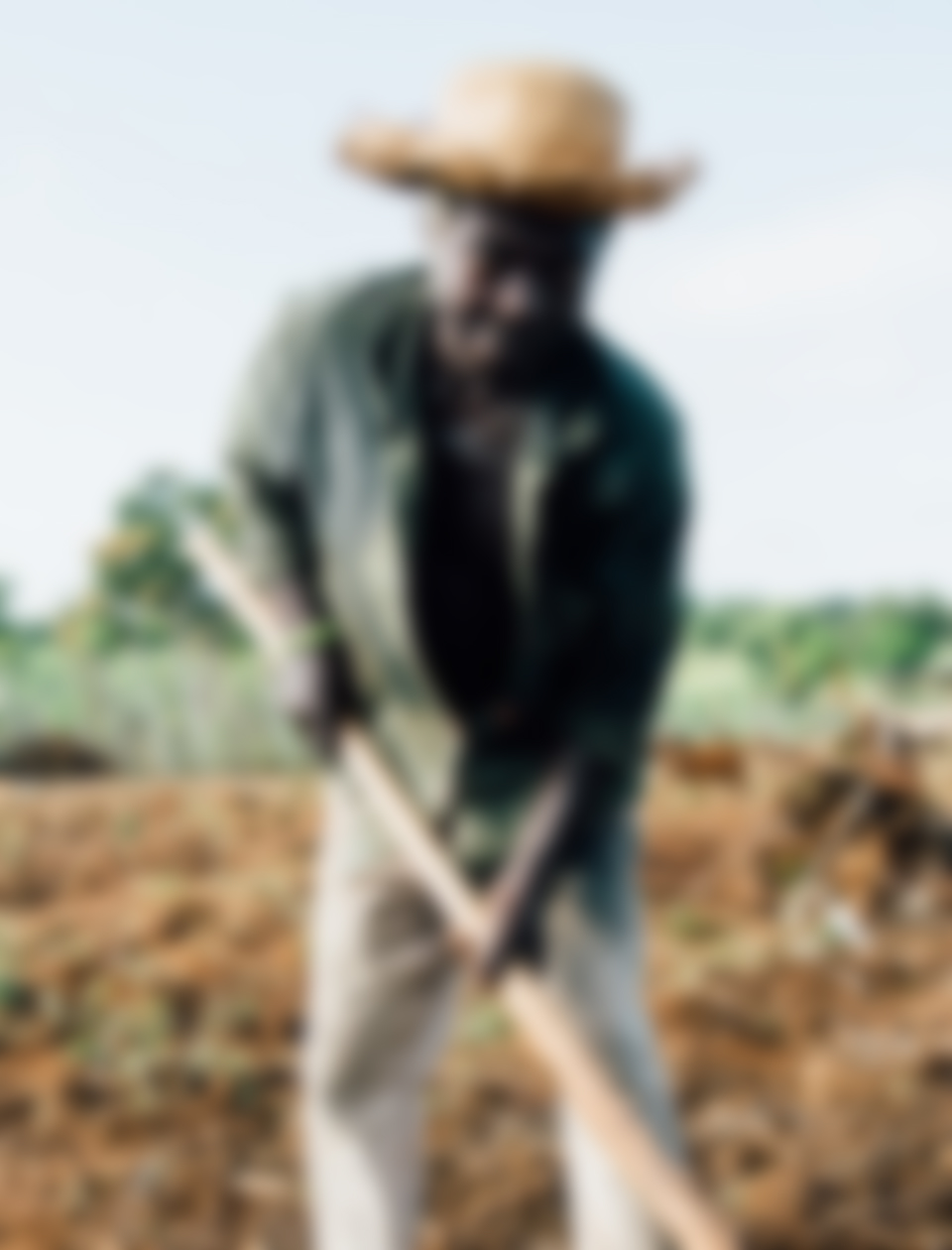 <a href="index.php/member/">Savannah Nguyen</a>