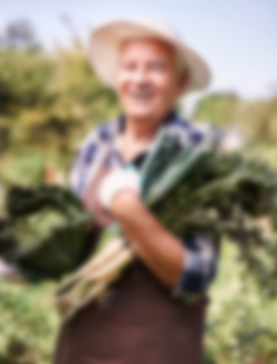 <a href="index.php/member/">Ralph Edwards</a>