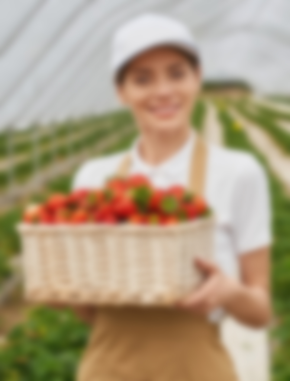 <a href="index.php/member/">Courtney Henry</a>