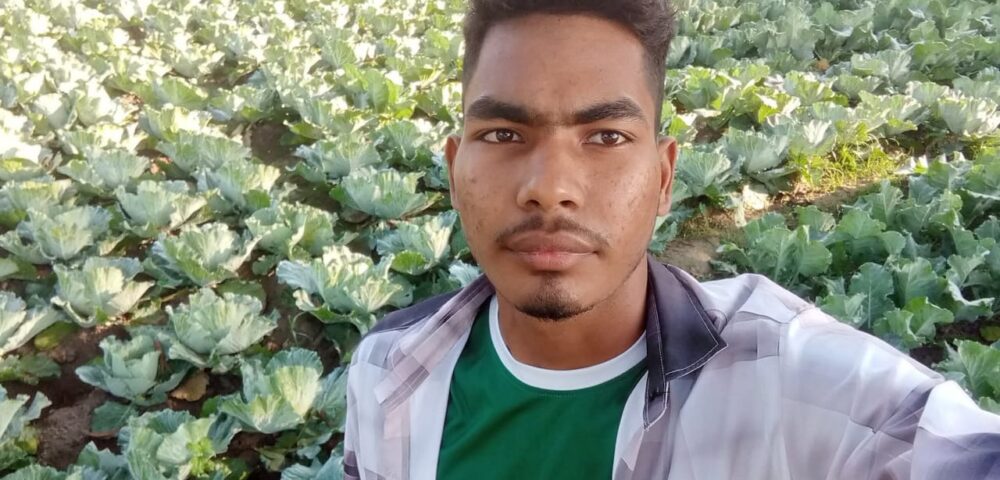 Success of F1 Hybrid Cauliflower Sudarshan in Kushtia’s Fields