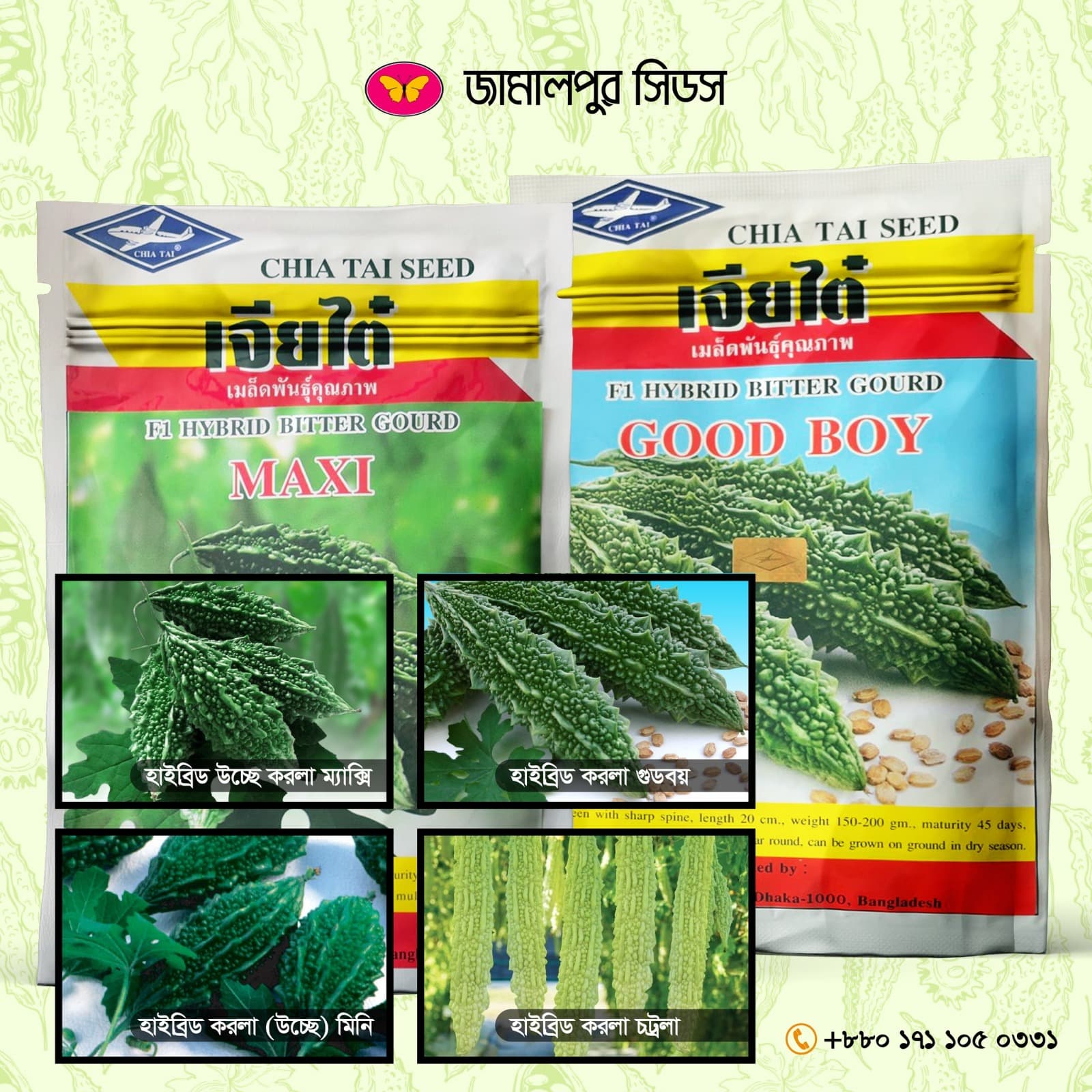 Four hybrid bitter gourd and teasel gourd seed packets from Jamalpur Seeds displayed with close-up photos of the fruits: Maxi, Good Boy, Mini, and Chatrola varieties, shown against a light green background with the Jamalpur Seeds logo.