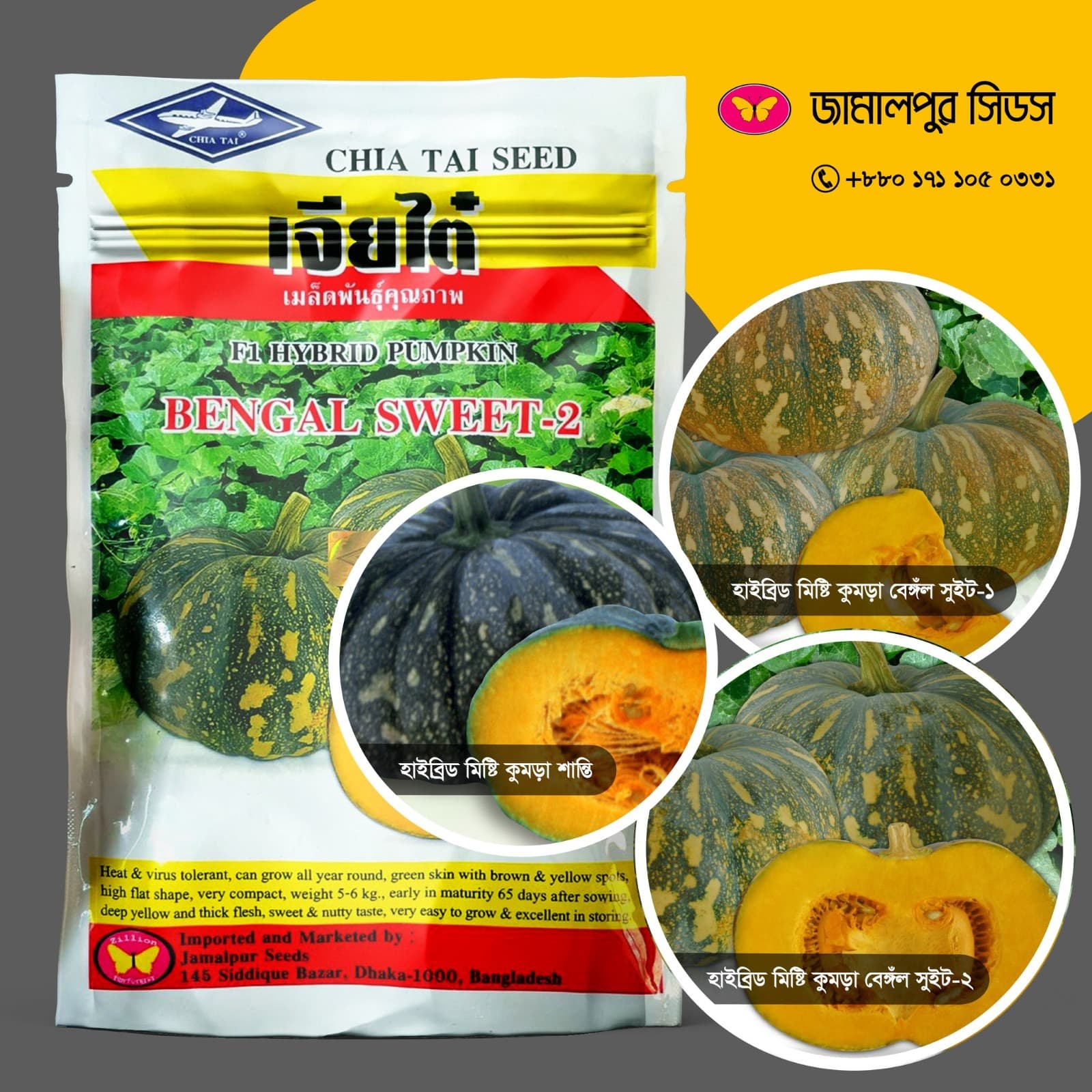 Hybrid Sweet Pumpkins from Jamalpur Seeds
