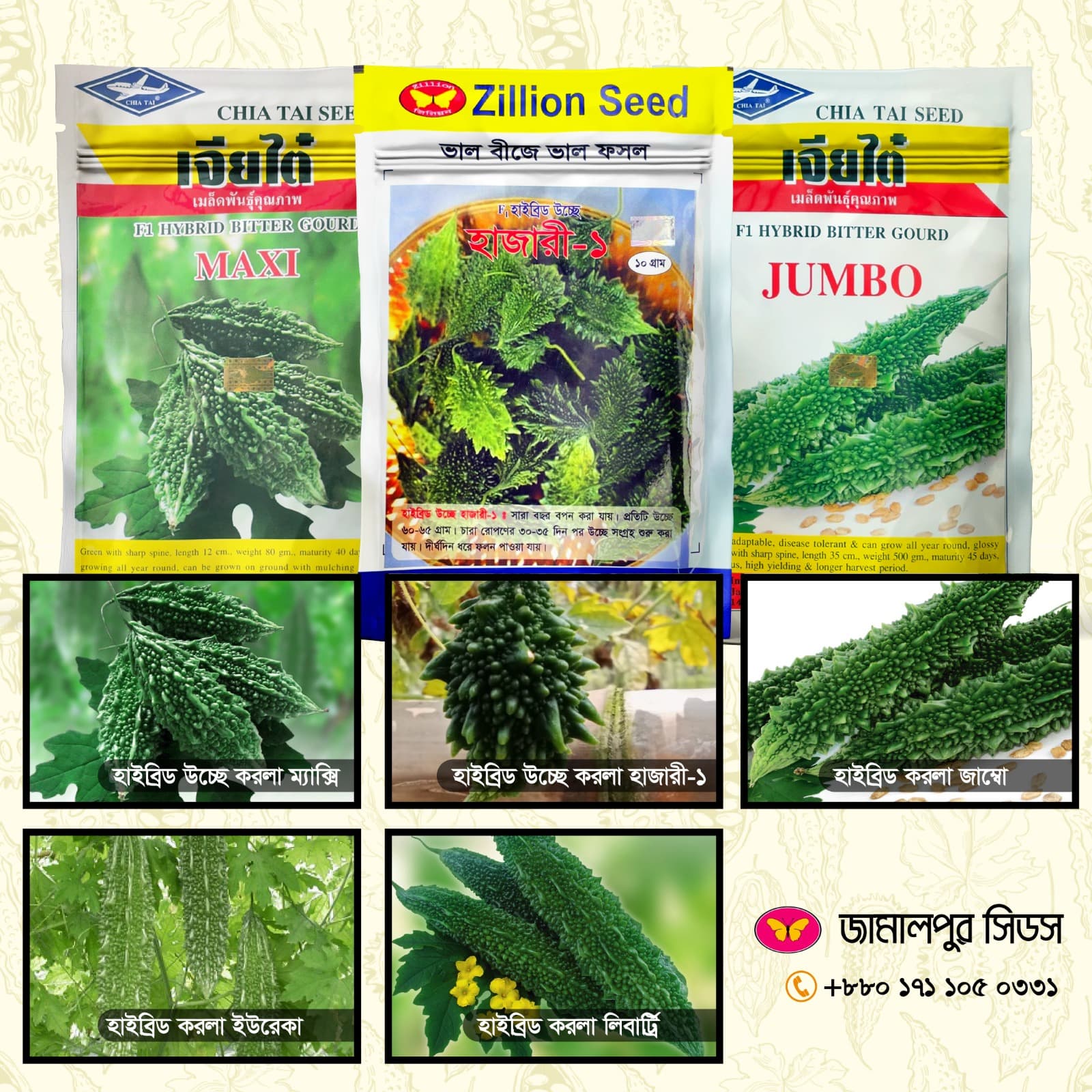 A promotional image featuring three seed packets for F1 Hybrid Bitter Gourd (MAXI, HAZARI-1, JUMBO) and five photos showing the actual produce for Maxi, Hazari-1, Jumbo, Eureka, and Liberty varieties from Jamalpur Seeds.