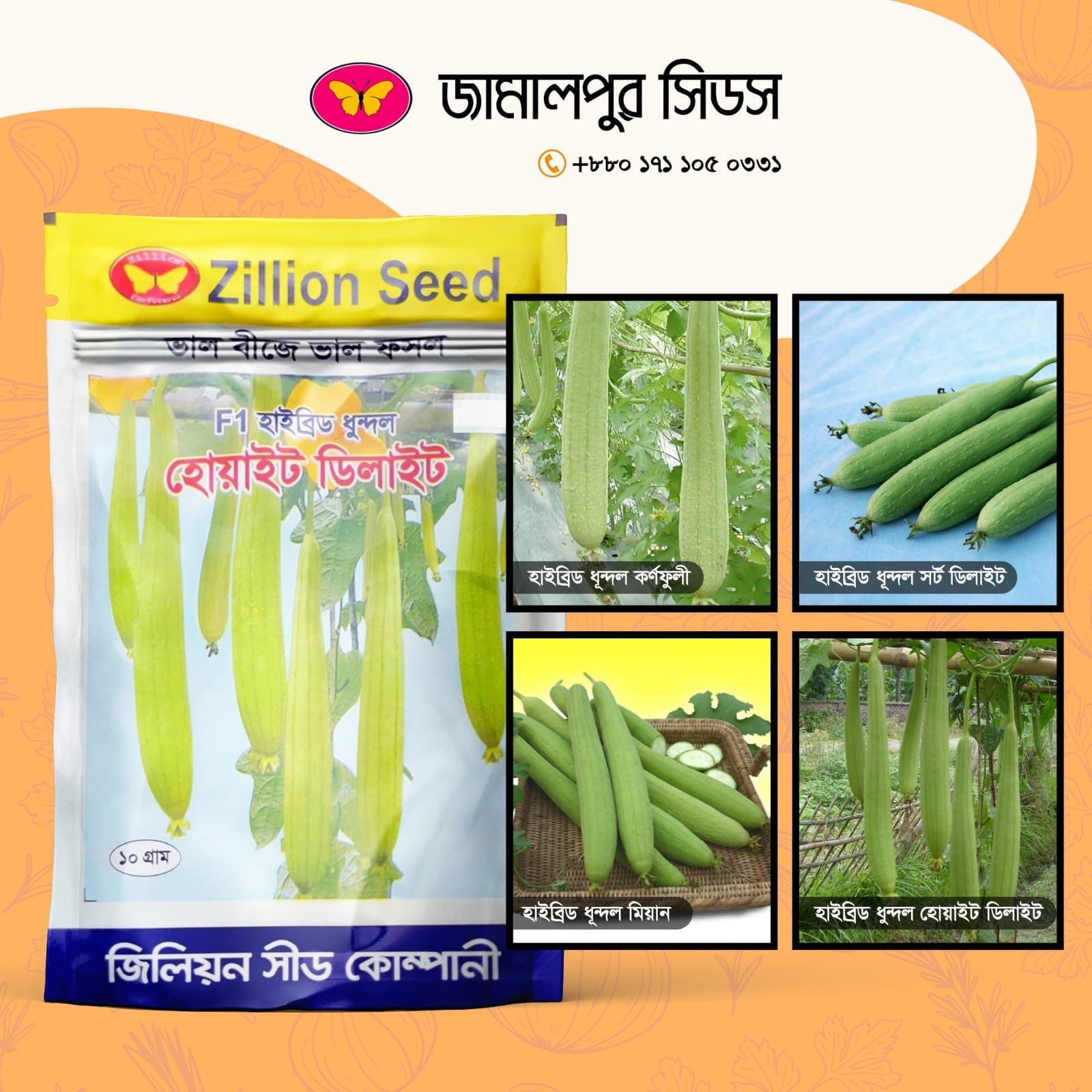 A promotional image featuring Zillion Seed's Hybrid Sponge Gourd "White Delight" seed packet alongside four varieties: Karnafuli, Short Delight, Miyan, and White Delight, with Jamalpur Seeds branding and contact information.