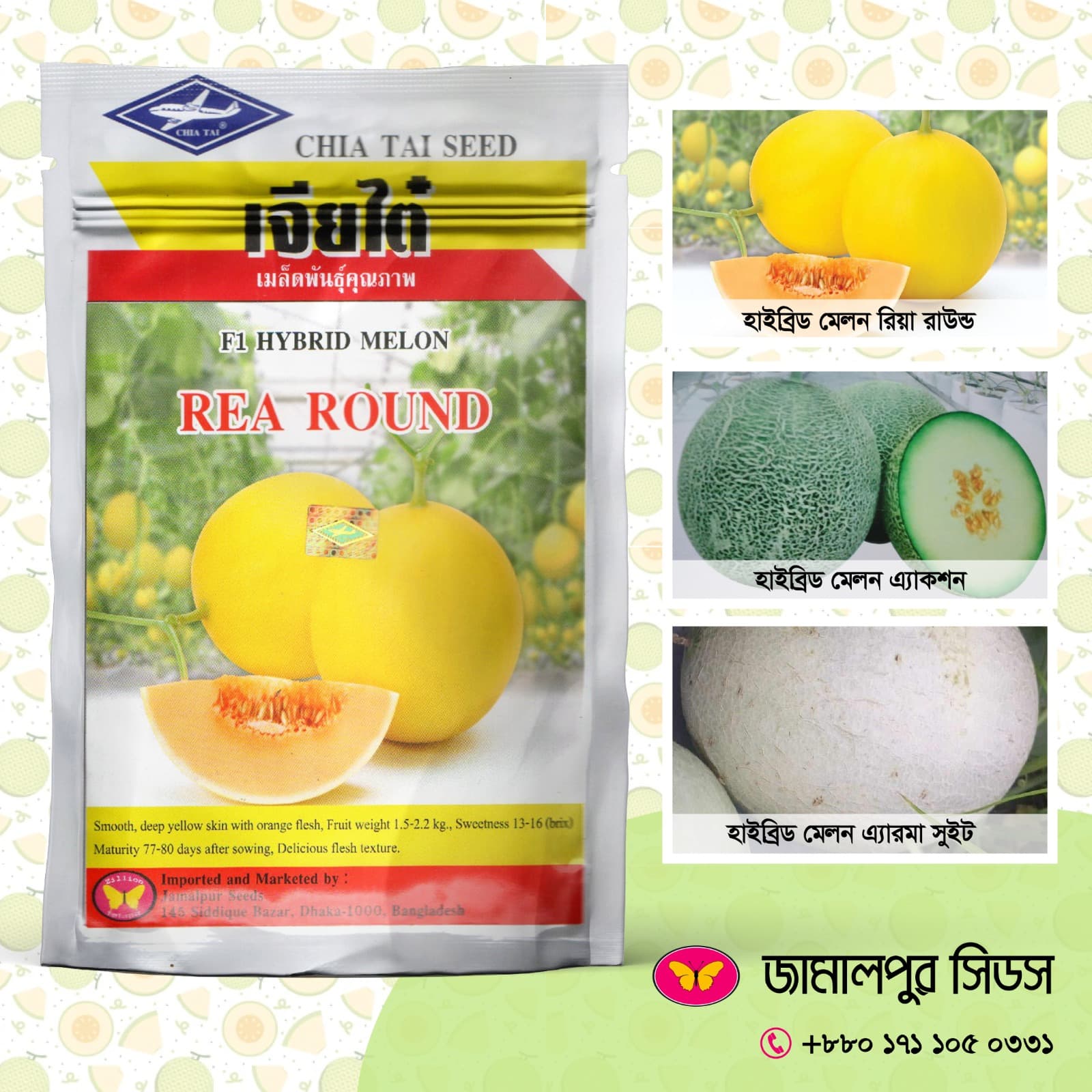 High-Yield Hybrid Melon Cultivation