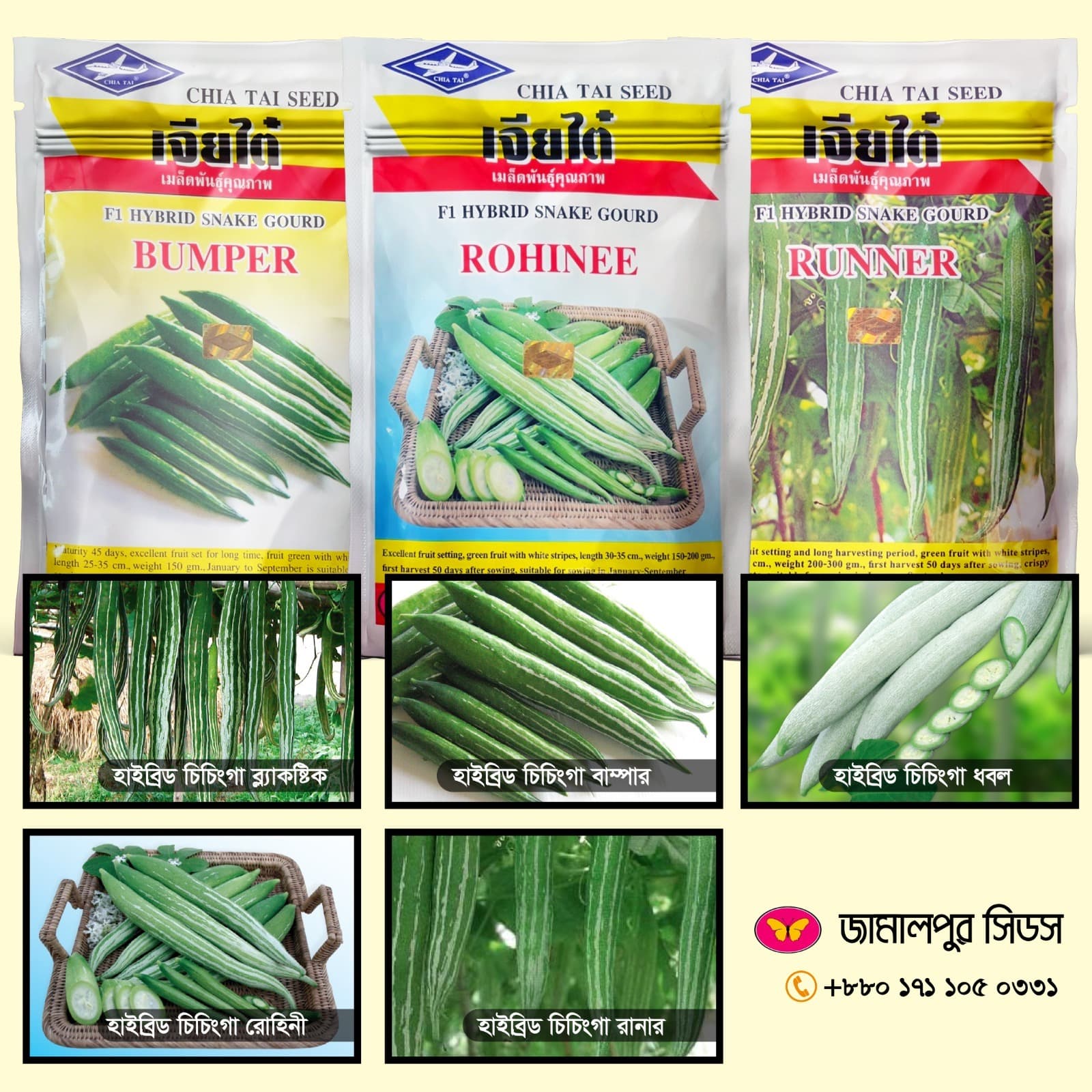 A product showcase image displaying five varieties of hybrid snake gourd (Chichinga) marketed by Jamalpur Seeds. The top half shows three commercial seed packets from Chia Tai Seed labeled "F1 Hybrid Snake Gourd" for Bumper, Rohinee, and Runner. The bottom half features a grid of five photos illustrating the real harvest views of each variety: Blackstick (hanging from a trellis), Bumper (piled raw fruits), Dhabal (light white skin variety with slices), Rohinee (arranged in a woven basket), and Runner (growing on vines). A pink and yellow Jamalpur Seeds logo with a hotline number is at the bottom right.