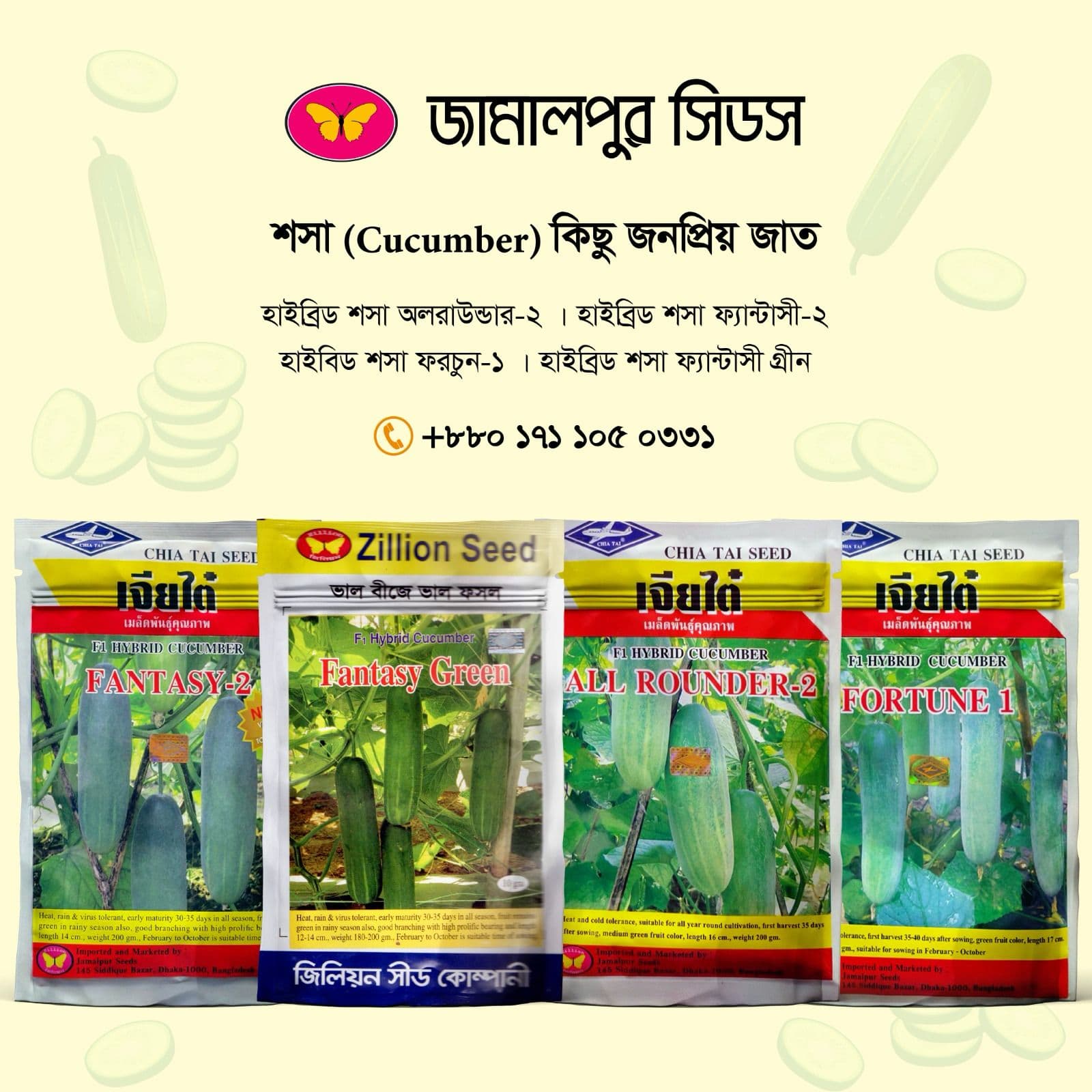 জামালপুর সিডস-এর জনপ্রিয় ৪টি হাইব্রিড শসা জাত