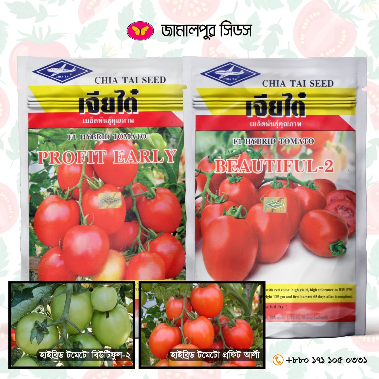 Boost your agricultural profit with Jamalpur Seeds’ premium, disease-tolerant, and high-yielding hybrid tomato varieties.