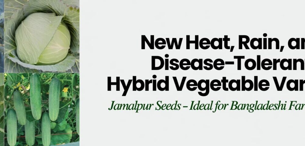 New Heat, Rain, and Disease-Tolerant New Hybrid Vegetable Varieties