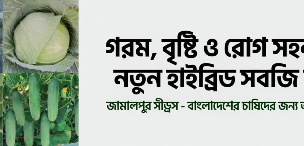 গরম, বৃষ্টি ও রোগ সহনশীল নতুন হাইব্রিড সবজি জাত