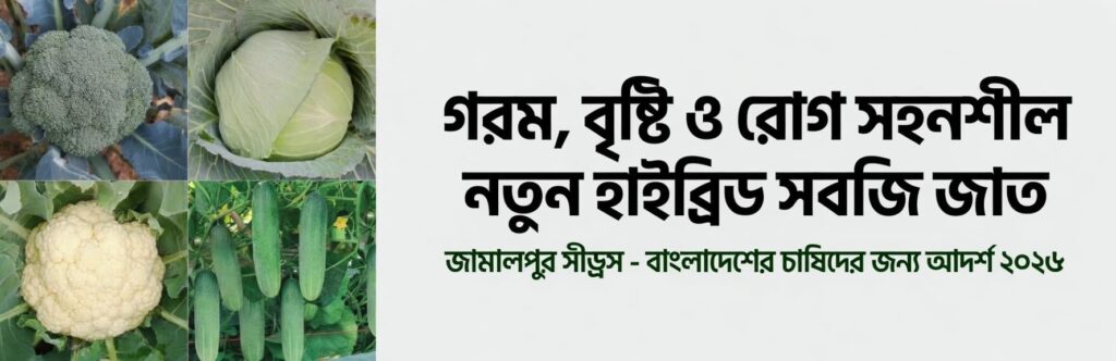 জামালপুর সীড্‌সের গরম, বৃষ্টি ও রোগ সহনশীল নতুন হাইব্রিড সবজি জাত – চাষি ভাইদের জন্য সেরা সমাধান ২০২৬