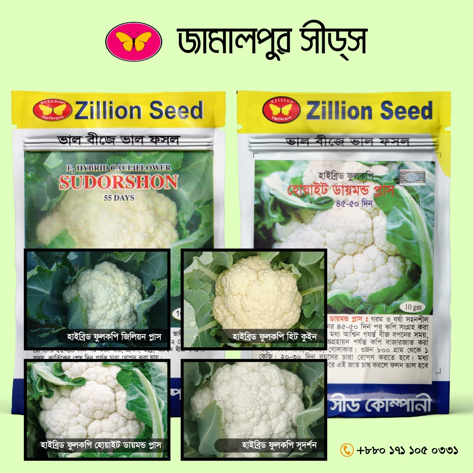 4 Advanced Early and Mid-Season Hybrid Cauliflowers!