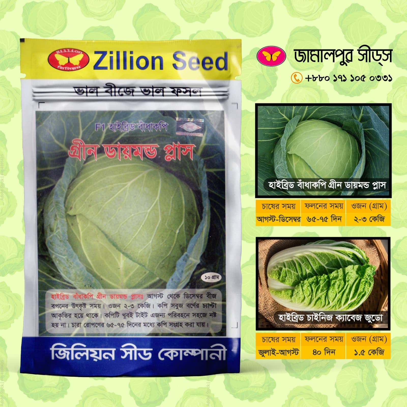 Hybrid Cabbage Green Diamond Plus & Hybrid Chinese Cabbage Judo!