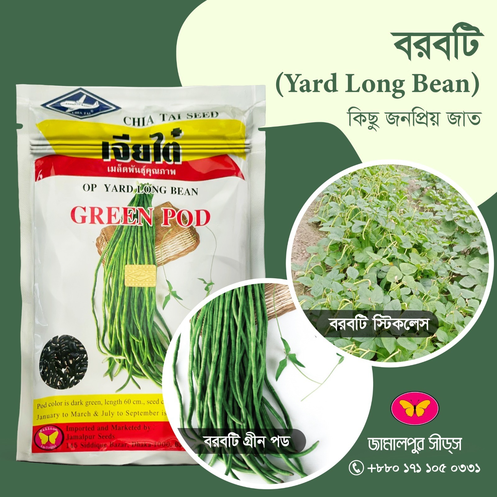 Jamalpur Seeds Yard Long Bean – Green Pod & Stickless High-Yielding Varieties