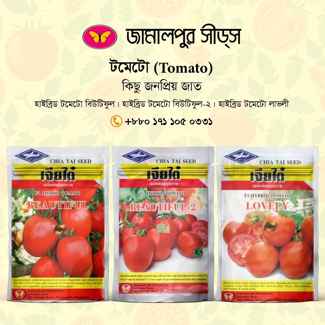 Jamalpur Seeds hybrid tomato packets – Beautiful, Beautiful-2 and Lovely varieties with red tomatoes and product details.