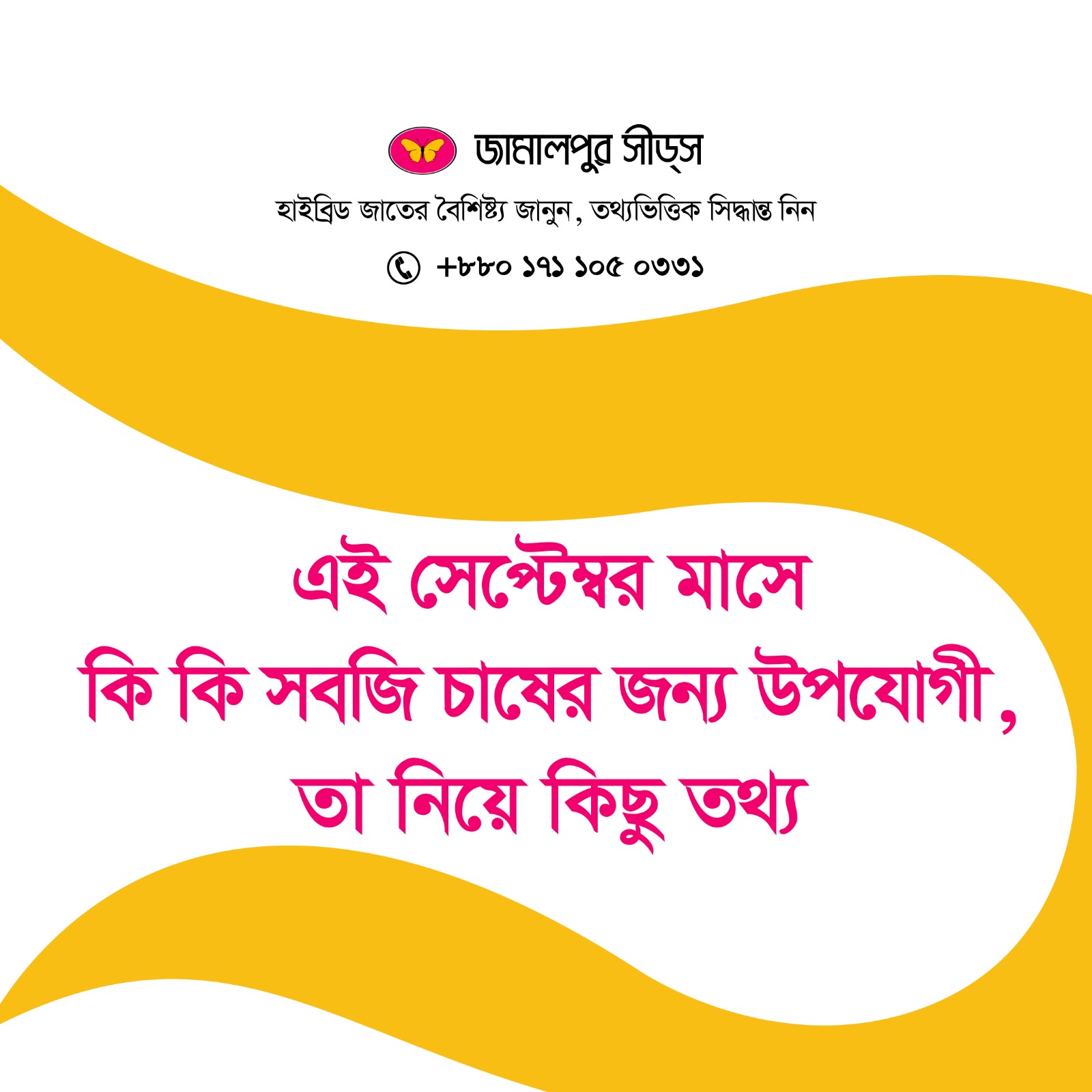 Selected vegetable varieties from Jamalpur Seeds suitable for cultivation in the autumn season, with popular and improved hybrid options for different farming needs.
