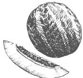 Melon-01