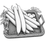 Sponge Gourd