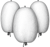 Wax Gourd