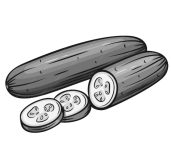 cucumber