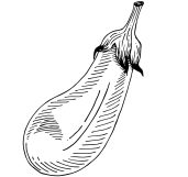 eggplant-01